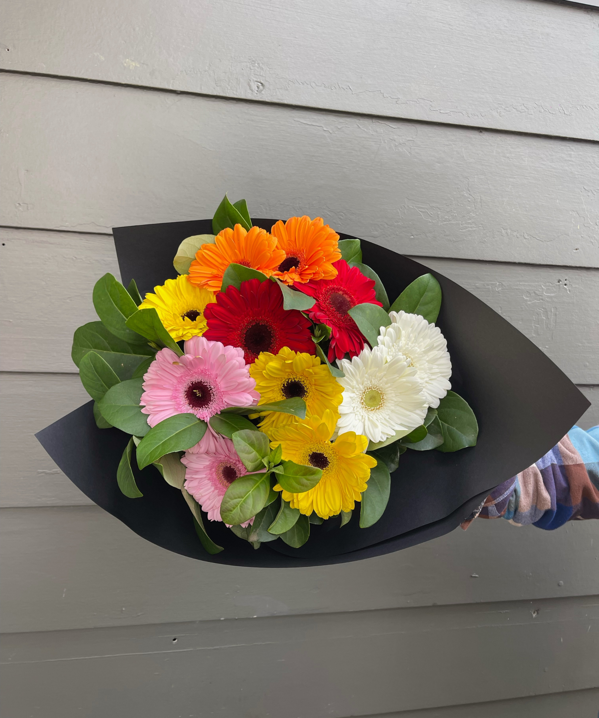 Gerbera Bouquet