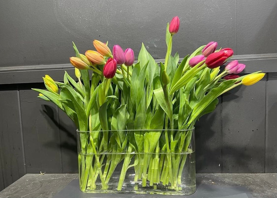 Tulips Bouquet