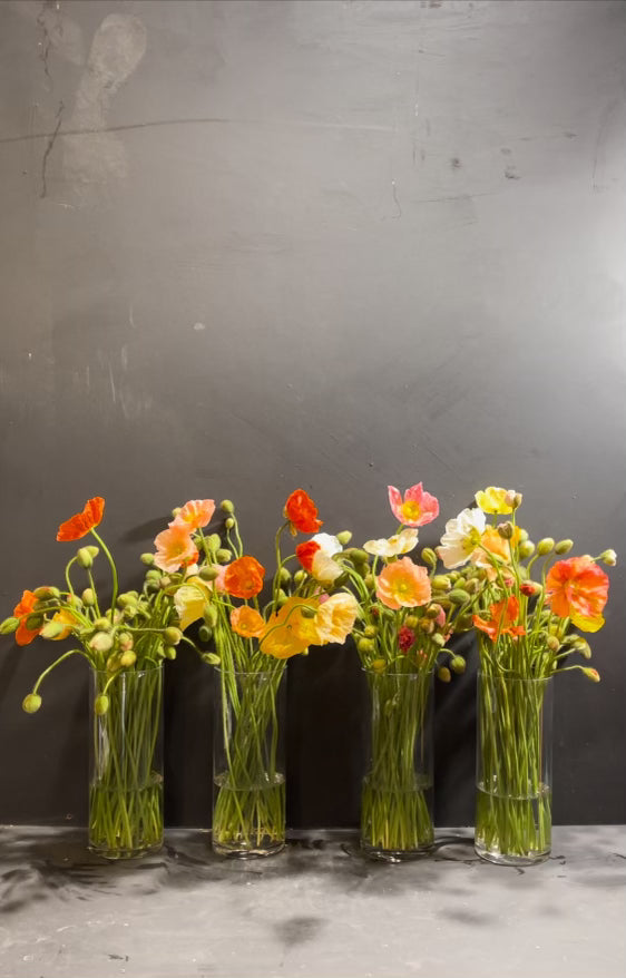 Poppies Bouquet